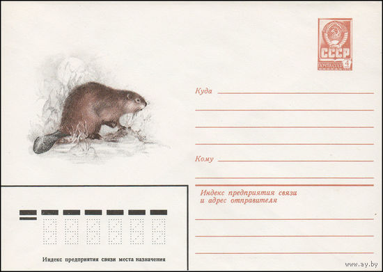 Художественный маркированный конверт СССР N 15243 (21.10.1981) [Бобр речной]