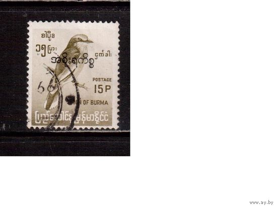 Бирма-1966,(Мих. 88)  гаш.,  надп.-служеб., Птицы