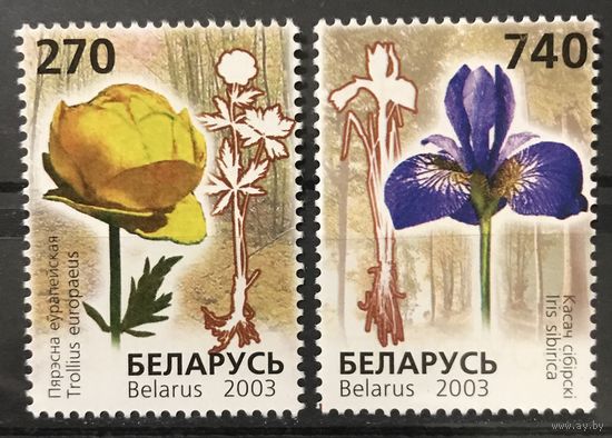2003 Редкие виды цветов, занесенные в Красную книгу Беларуси