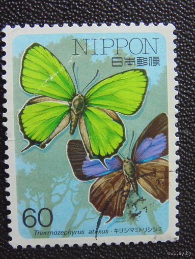 Япония. Бабочки.