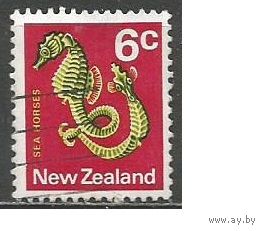Новая Зеландия. Рыбы. Морской конёк. 1970г. Mi#524.