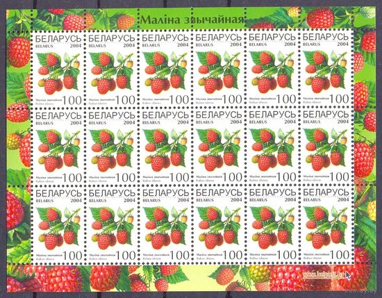 Беларусь 2004 седьмой стандарт ягоды флора малина