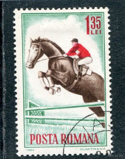 Румыния. Конный спорт