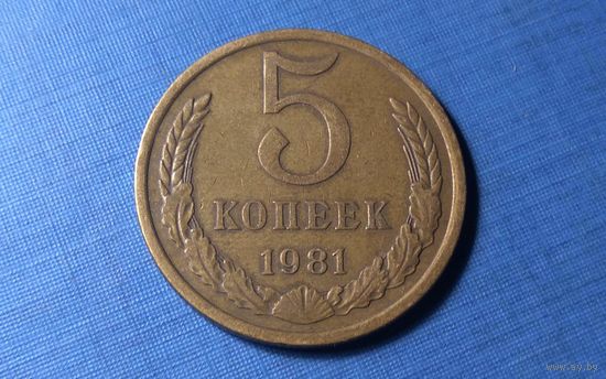 5 копеек 1981. СССР.