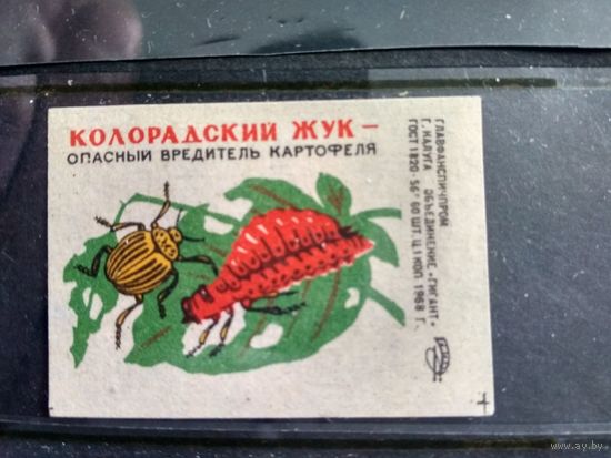 Этикетки спичечные.1968. Колорадский жук-опасный вредитель картофеля