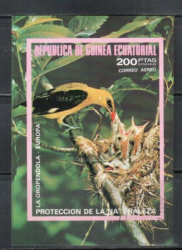 Гвинея Экваториальная-1976(Мих.Бл.237) , гаш. Фауна, Птицы,