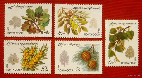 СССР. Охраняемые породы деревьев и кустарников. ( 5 марок ) 1980 года. 10-9.
