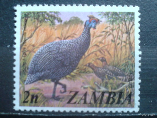Замбия Птица**
