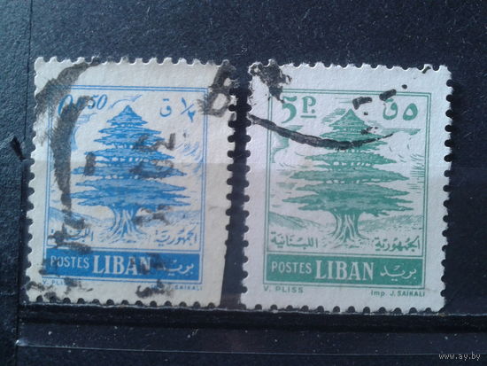 Ливан 1955 Стандарт, ливанский кедр
