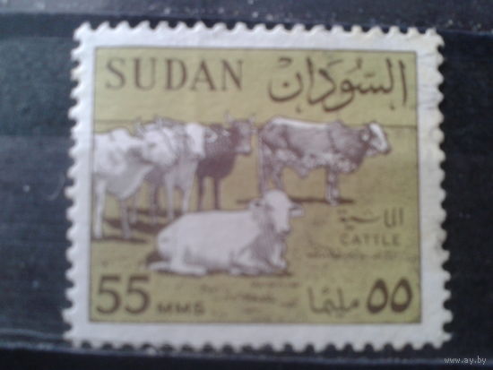 Судан 1962 Стандарт, крупный рогатый скот