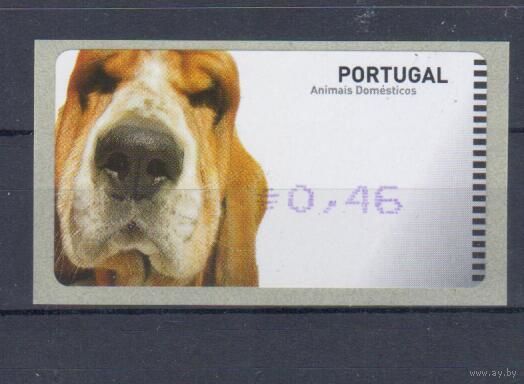 [2051] Португалия 2005. Фауна.Собака.