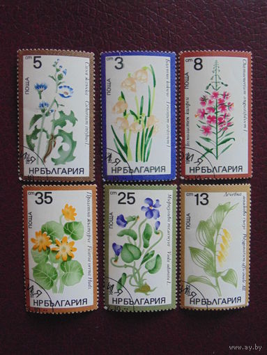 Болгария 1982 г. Цветы.