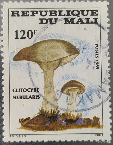 Мали 1985 грибы 1 из 4.