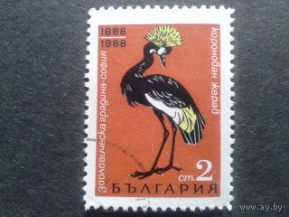 Болгария 1968 птица