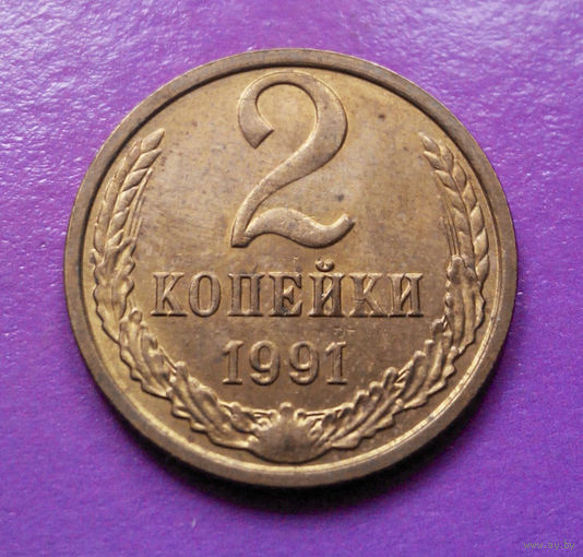 2 копейки 1991 М СССР #01