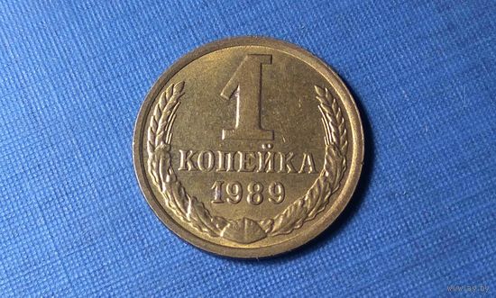 1 копейка 1989. СССР.