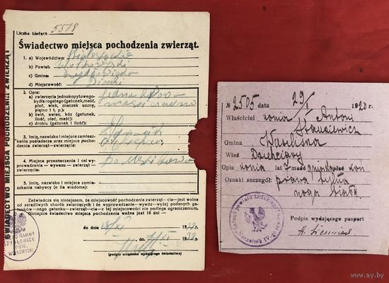 Паспорт лошади 1920-й год и Swiadectwo miejsca pochodzenia zwierzat 1931 год цена за все