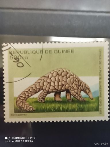Гвинея 1995