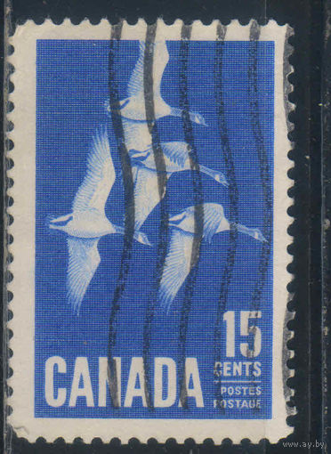 GB Доминион Канада 1963 Гуси канадские Стандарт #357