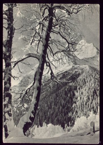 1953 год Утро в горах
