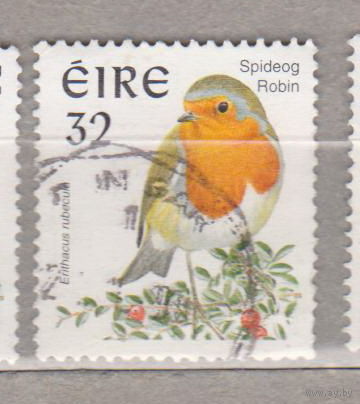 Птицы Фауна Ирландия   лот 1005