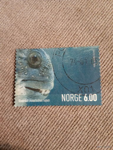 Норвегия 2005. Рыба-заяц