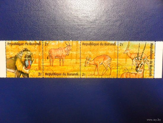 Бурунди-фауна-сцепка из 4 марок