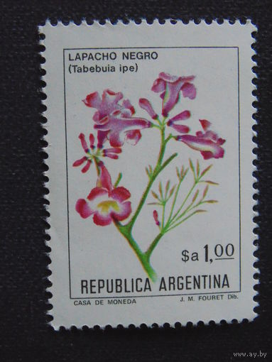 Аргентина. Цветы.