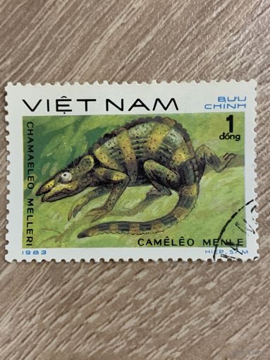 Вьетнам 1983. Рептилии. Cameleo Menle. Марка из серии