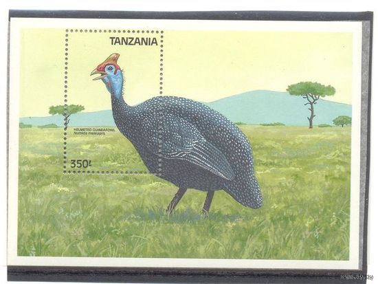 Танзания птицы фазан