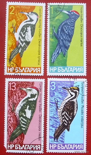 Болгария. Птицы. Дятлы. ( 4 марки ) 1978 года. 4-5.