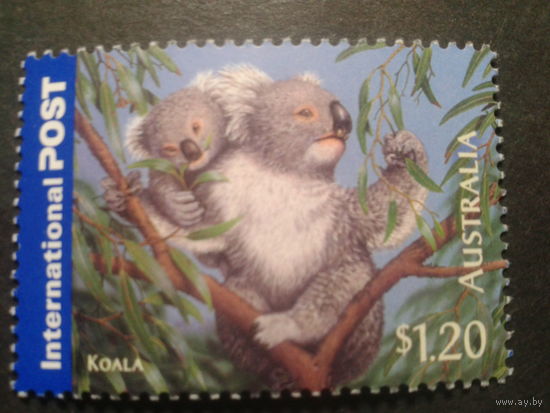 Австралия 2005 коала