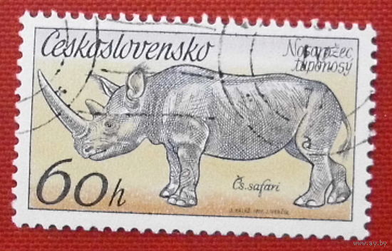 Чехословакия. Носорог. ( 1 марка ).