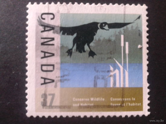 Канада 1988 птица