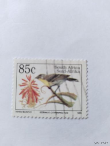 Ю.Африка 1995