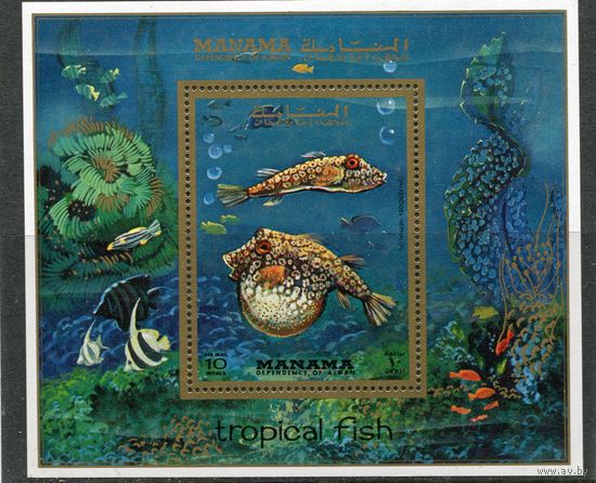Манама. Рыбы тропических вод, блок