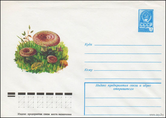 Художественный маркированный конверт СССР N 13377 (07.03.1979) [Волнушка]