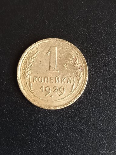 1 копейка 1929 год (20)