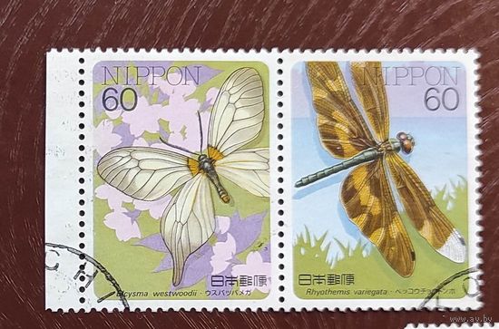 Япония, 2м бабочки гаш