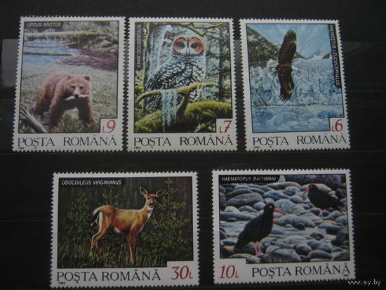 Марки - фауна Румыния 1992 птицы медведь сова косуля и др