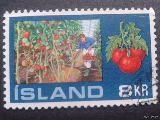 Исландия 1972 томаты