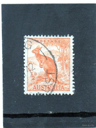 Австралия.Ми-137. Красный кенгуру (Macropus rufus).1938.