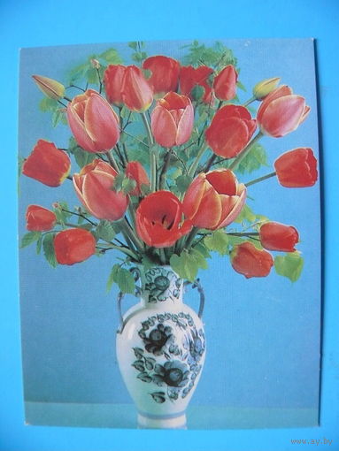 Костенко Г.(фото), Тюльпаны, 1989, чистая, мини-формат.