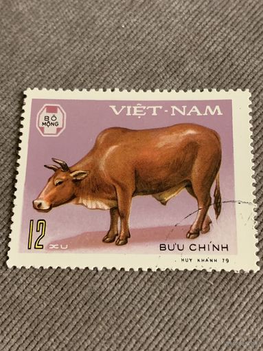 Вьетнам 1979. Домашний скот. Буйвол. Марка из серии