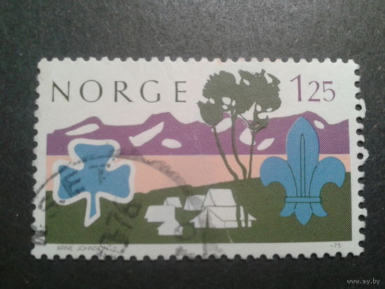 Норвегия 1975 скауты