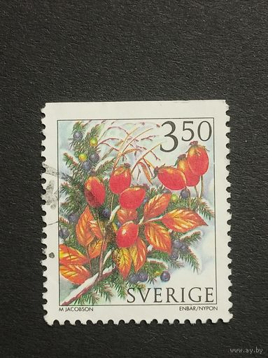 Швеция 1996. Зимние ягоды