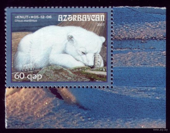 1 марка 2007 год Азербайджан Белый медведь 693
