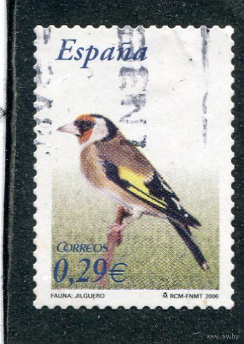 Испания. Фауна. Птица