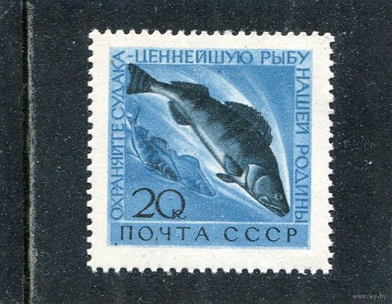 СССР 1960. Рыбы. Судак
