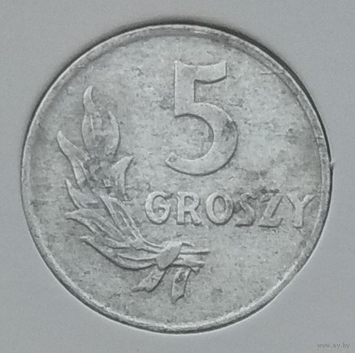 Польша 5 грошей 1949 г. Алюминий. В холдере